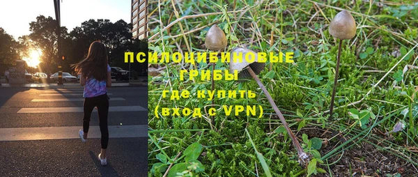 мет Бородино
