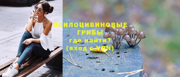 герыч Бронницы